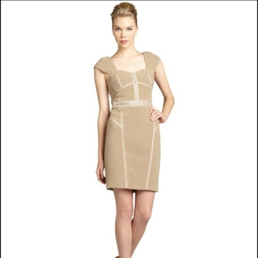 Rebecca Taylor Corset Bustier Bodycon Mini Dress in Nude Size 6